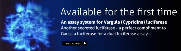 Luciferase Assay