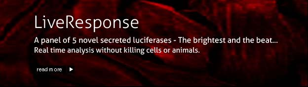 Luciferase Assay