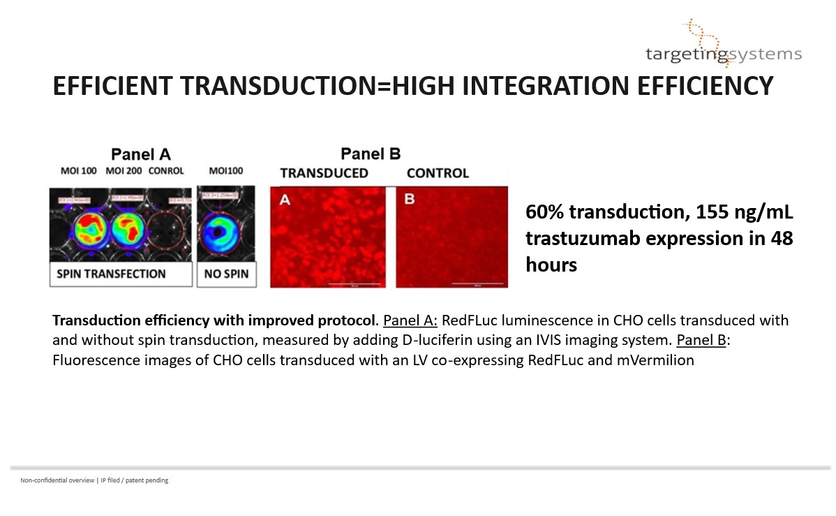 Efficient Transduction and High Integration Efficiency