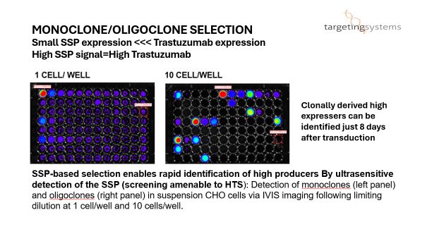 Monoclone and Oligoclone Selection