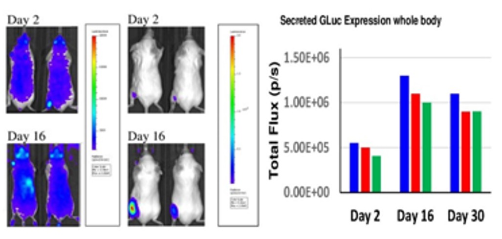 Systemic Secretion and Localized Expression