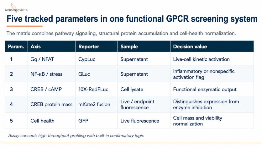 5-Parameter Functional Screening Matrix