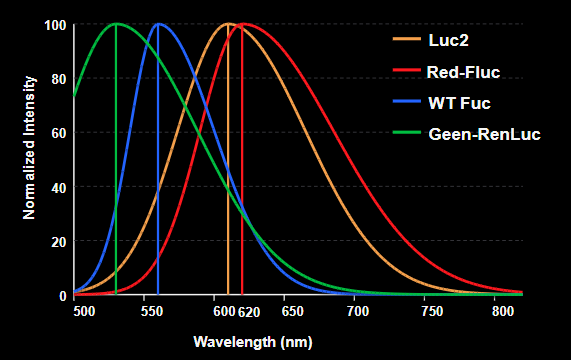 Spectral Shift Graph