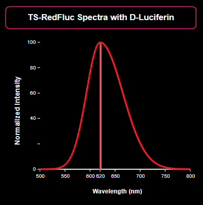 Spectral Shift Graph