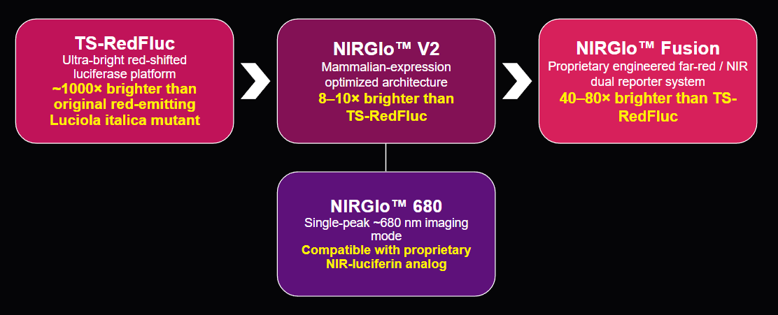 NIRGlo Evolution Timeline