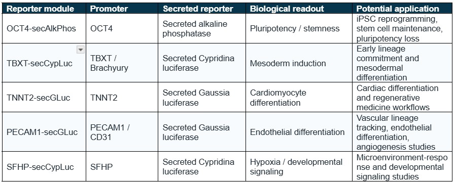Stem Cell Fate & Lineage Tracking Reporter Inclusion Table